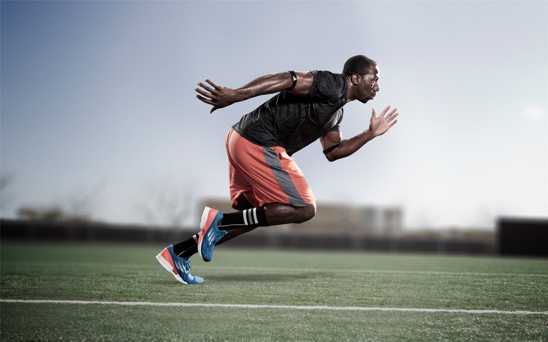 开云体育移动版-特色秋季城市马拉松，绿色环境中的极速奔跑，城市马拉松方案